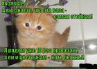 https://lolkot.ru/2015/07/01/stoykiy-olovyannyy-soldatik/