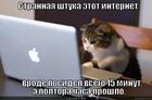 https://lolkot.ru/2012/12/29/strannaya-shtuka-etot-internet/