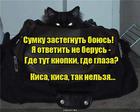 https://lolkot.ru/2016/10/22/strashnaya-sumka/