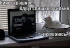 https://lolkot.ru/2010/08/24/strashnoye-kino/