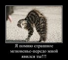 https://lolkot.ru/2012/02/07/strashnoye-mgnovene-2/