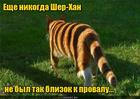https://lolkot.ru/2016/08/27/sudba-rezidenta/