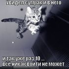 https://lolkot.ru/2012/01/23/sumrak/