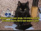 https://lolkot.ru/2013/09/18/sup-s-kotom-6/