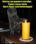 https://lolkot.ru/2016/08/17/svechnyye-slezy/