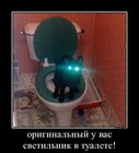 https://lolkot.ru/2012/02/09/svetilnik-v-tualete/