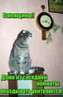 https://lolkot.ru/2016/07/27/svidaniye-v-sosedney-komnate/
