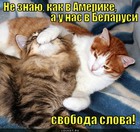 https://lolkot.ru/2012/01/15/svoboda-slova/