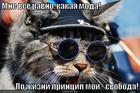 https://lolkot.ru/2012/10/25/svoboda/
