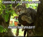 https://lolkot.ru/2012/08/03/syomka/