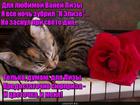 https://lolkot.ru/2016/03/13/syurprizy-dlya-lizy/