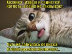 https://lolkot.ru/2013/11/28/tak-i-ubit-mozhno/