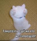 https://lolkot.ru/2015/06/22/tantsevat-ne-zaprescheno/