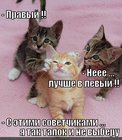 https://lolkot.ru/2012/04/27/tapok-ne-vyberu/