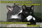 https://lolkot.ru/2015/05/15/tayny-ot-mamy/