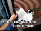 https://lolkot.ru/2010/08/25/tayskiy-massazh/