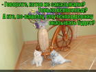 https://lolkot.ru/2015/06/14/tehpodderzhka-velika/
