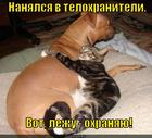 https://lolkot.ru/2012/08/28/telohranitel-2/