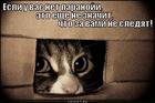 https://lolkot.ru/2012/10/22/teoriya-zagovora/