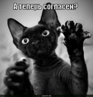 https://lolkot.ru/2011/01/30/teper-soglasen/