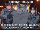 https://lolkot.ru/2012/04/30/terrorist-poyman/