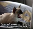 https://lolkot.ru/2011/04/18/tetris/