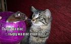 https://lolkot.ru/2011/06/06/tfu-na-vas/