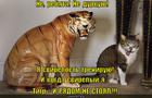 https://lolkot.ru/2013/06/02/tigrinaya-stoyka/