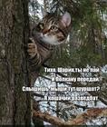 https://lolkot.ru/2025/05/06/tishayshaya-razvedka/