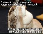 https://lolkot.ru/2014/01/23/tishina-dolzhna-byt-v-biblioteke-2/