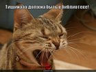 https://lolkot.ru/2010/10/13/tishina-v-biblioteke/