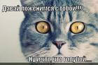 https://lolkot.ru/2013/11/21/tochno-ne-tolerast/