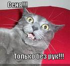 https://lolkot.ru/2012/11/27/tolko-bez-ruk/