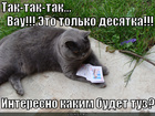 https://lolkot.ru/2012/08/09/tolko-desyatka/