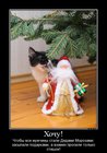 https://lolkot.ru/2012/01/12/tolko-stishok/