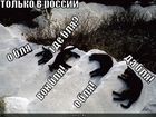 https://lolkot.ru/2011/07/28/tolko-v-rossii/