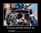 https://lolkot.ru/2012/10/27/tolko/