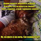 https://lolkot.ru/2016/12/24/tolstyye-mucheniya/