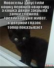 https://lolkot.ru/2012/08/10/topor-pokazyvayet/