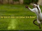 https://lolkot.ru/2012/08/26/tovs/