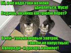 https://lolkot.ru/2015/12/26/trehkastryulnyy-ratsion/