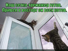 https://lolkot.ru/2014/11/27/trenazher/