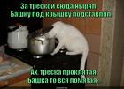 https://lolkot.ru/2014/11/25/treska-stoit-svech/