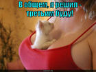 https://lolkot.ru/2015/10/08/tretim-budu/