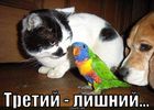 https://lolkot.ru/2010/09/01/tretiy-lishniy/