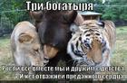 https://lolkot.ru/2014/05/27/tri-bogatyrya-2/