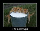 https://lolkot.ru/2012/01/26/tri-bogatyrya/
