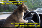 https://lolkot.ru/2012/06/04/tri-pedalki/