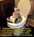 https://lolkot.ru/2017/10/30/tronnyy-lotok/