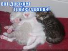 https://lolkot.ru/2010/09/24/troyka-udalaya/